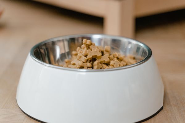 A steel bowl of dry food in a white stand